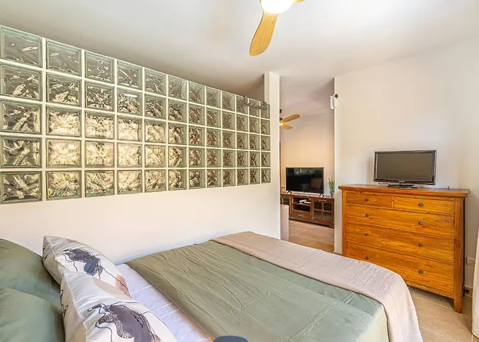 As De Casas - El Mocan - Palmmar